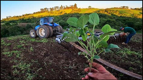 TIVEMOS QUE ELIMINAR NOSSA PRIMEIRA SOJA PLANTADA NIVELANDO A LAVOURA