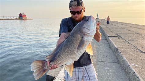 Pier Fishing For Michigans Most Underrated Fish Sheepshead