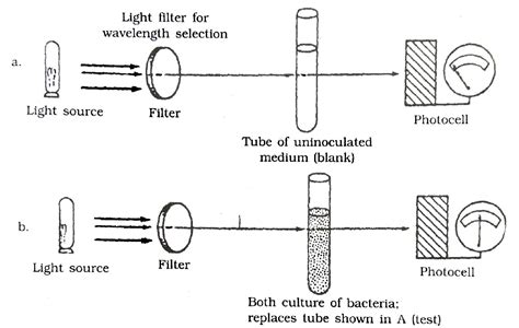 Determination Of Cell Mass For Measurement Of Microbial Growth