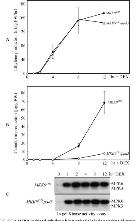 Figure 1 From Activation Of MAPK Kinase 9 Induces Ethylene And