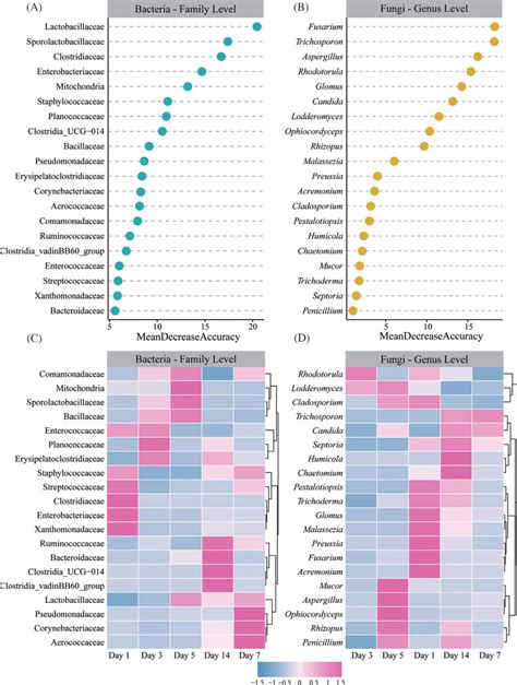 The Top 20 Biomarker Bacterial Families And The Top 20 Biomarker Fungal