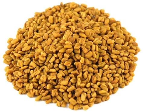 Yellow Fenugreek Seeds For Cooking Shelf Life 12 Months At Rs 76 88