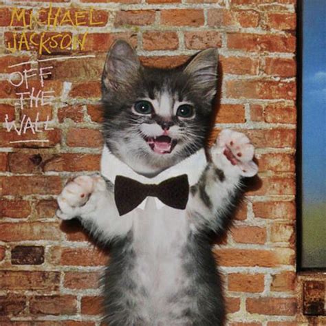 Michael Jackson Cat Jackson 5 Michael Jackson Famous Album Covers Classic Album Covers