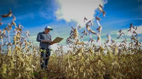 Mapa anuncia programa de assistência técnica e extensão rural digital