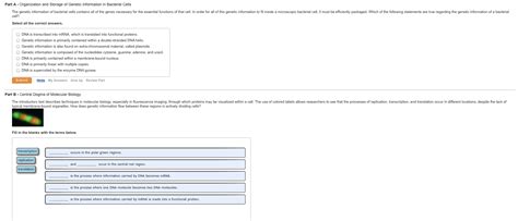 Solved Question | Chegg.com 