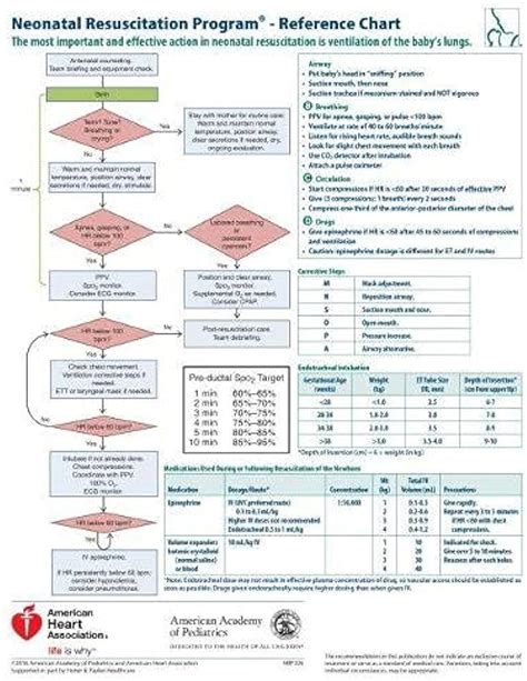 Nrp Wall Chart 8th Edition Aap 40 Off