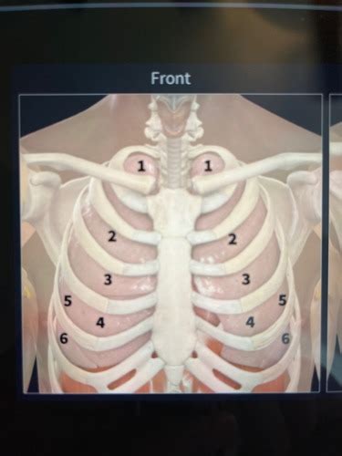 Week 6 Physical Assessment Flashcards Quizlet