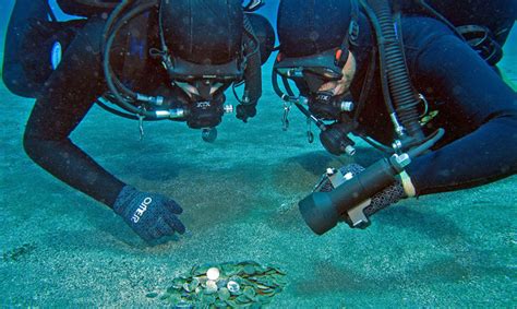 Mergulhadores encontram mais de 300 ânforas da era púnica no mar da