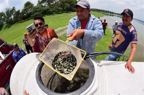 Pescadores De La Requena Piden Ayuda A Gobierno Estatal Grupo Milenio