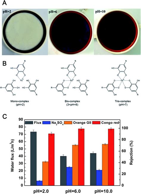 Green Coating By Coordination Of Tannic Acid And Iron Ions For