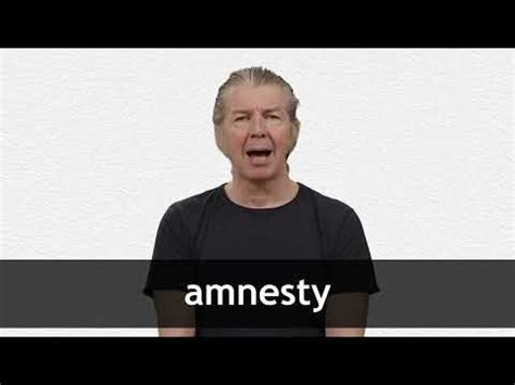 AMNESTY definition in American English | Collins English Dictionary