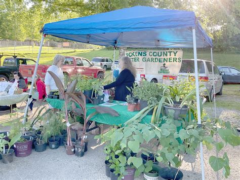 Farmers Market Report – PickensProgress.com