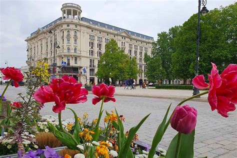 Co robić w Warszawie 3 5 maja 2024 Warsaw Now Najciekawsze