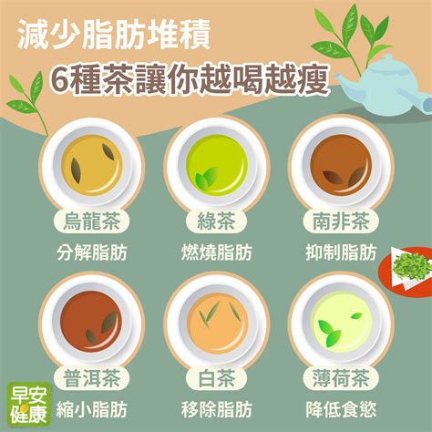 喝手搖飲不如喝茶減少脂肪堆積6種茶讓你越喝越瘦