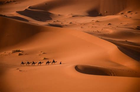 A Guide To Moroccos Sahara Desert