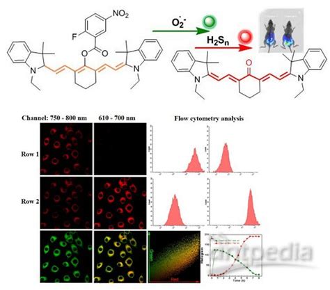 近红外荧光探针检测活性氧活性硫交互响应 分析行业新闻