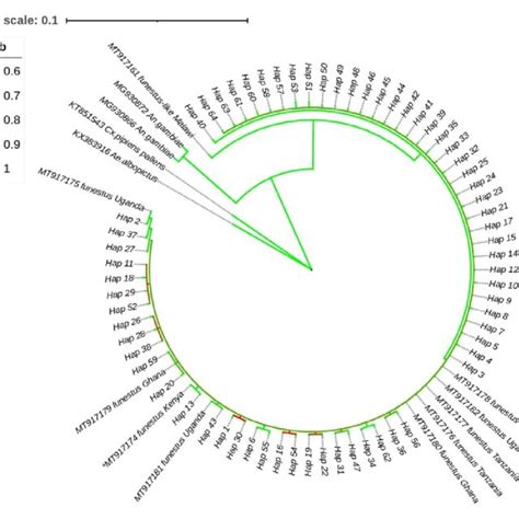 2 Bayesian Phylogenetic Tree Inferred From Cytochrome Oxidase Subunit