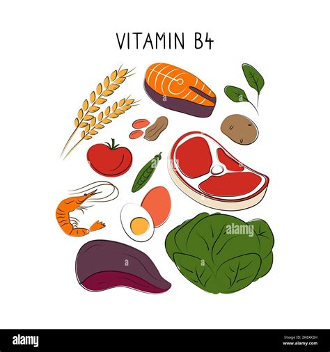 Vitamin B4 Choline Groups Of Healthy Products Containing Vitamins Set