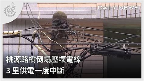 桃源路樹倒塌壓壞電線 3里供電一度中斷｜每日熱點新聞｜原住民族電視台 Youtube