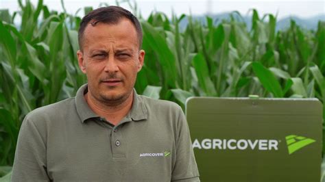 Erbicidare Eficient Cu Produse Agricover N Porumbul De La H Rman