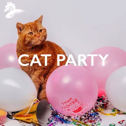 Cat Party