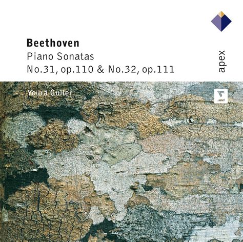 Beethoven Piano Sonatas 31 32 Warner Classics