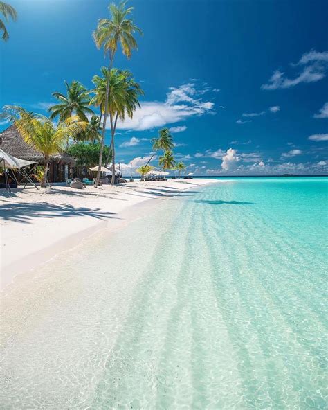 Maldives Beaches Pictures - maldive islands resort