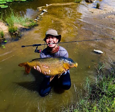 Catch of the Month (June): European Carp / Common Carp / Lee Koh ...