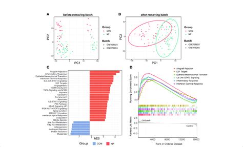 Data Preprocessing And Gene Set Enrichment Analysis GSEA A