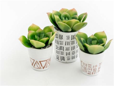 DIY Fun With Succulent Pots - 13 Adorable Ideas