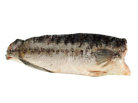 SNAKEHEAD FISH FILLET (TOMAN) (生鱼片) per Kg