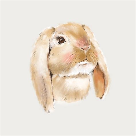 Cute Bunny Illustration Spring Bunnies Greeting Card Stock