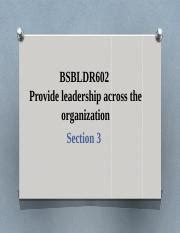 BSBLDR602 Section 3 Pptx BSBLDR602 Provide Leadership Across The