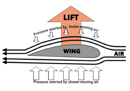 Bernoulli's Theorem - W3schools