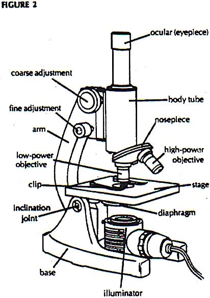 Simple Diagram Of A Microscope