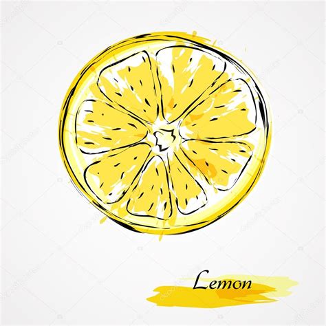 Lemon Slice Drawing at GetDrawings | Free download