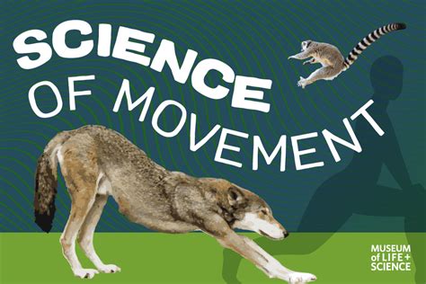 science  movement museum  life  science