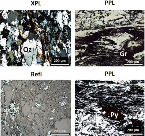 Microscopic Photographs Of Quartz Graphitic Schist Thin Section