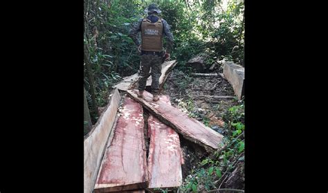 Patrulha Ambiental Localiza Ponto De Desmatamento Irregular CGN O