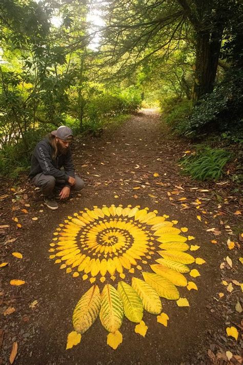 A Man Kneeling Down Next To A Yellow Sunflower On A Dirt Path In The Woods