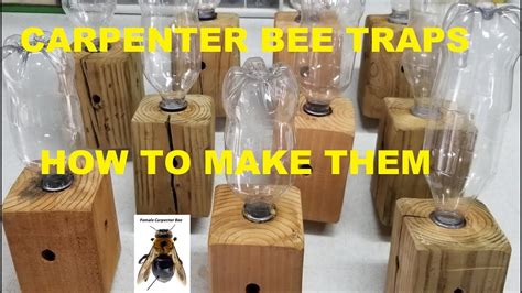 Carpenter Bee Traps How To Make Them And Where To Hang Them Simple