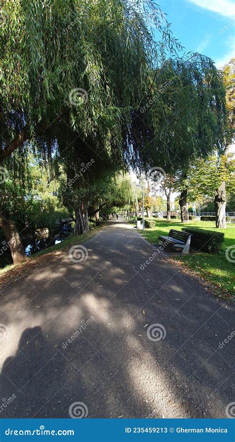 Central Park In Cluj Napoca Stock Image Image Of Mobile Places