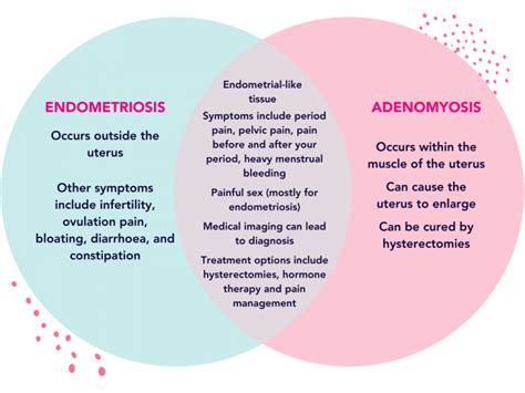 Endometriosis Womens Health Information Hub