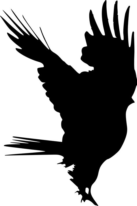 Raven Silhouette Png