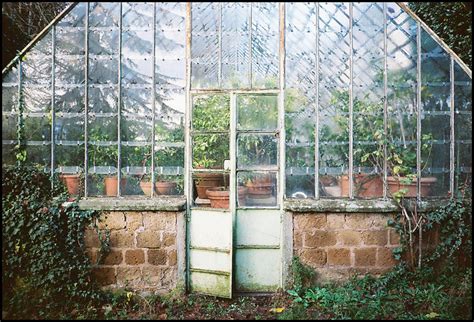 Antique Greenhouse For Sale | The Garden