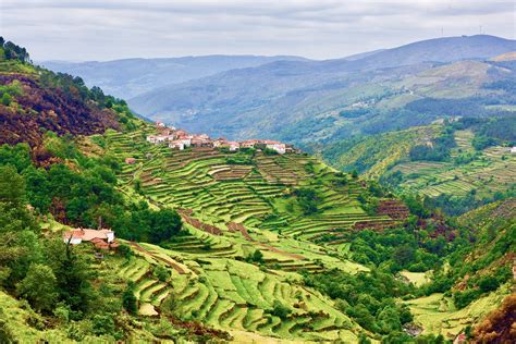 Reviews Portugal Minho The Douro Valley Country Walkers