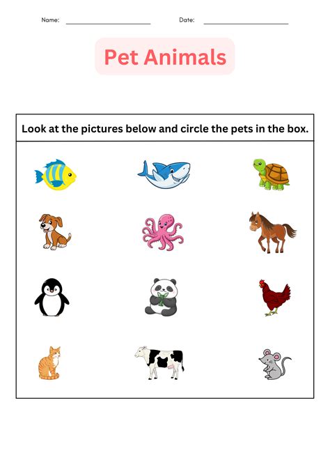 Printable Identifying And Mmatching Pet Animals Worksheet For Grade 1