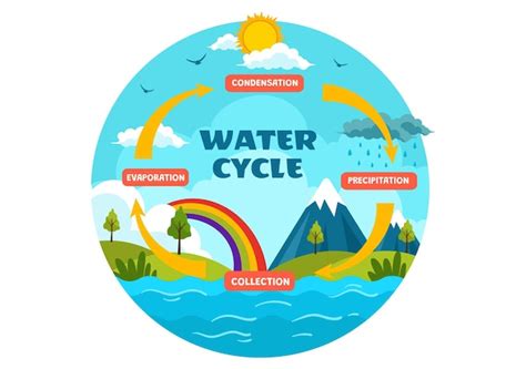 Water Cycle Clipart Vectors And Illustrations For Free Download Freepik