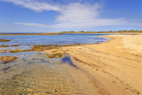 Estate Macchia Mediterranea Una Riserva Naturale Di Torre Guaceto