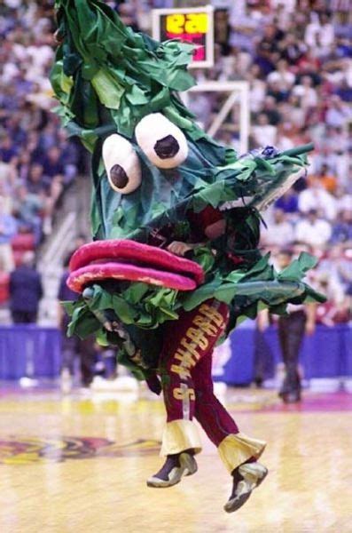 The Strangest College Mascots In The Country 20 Pics